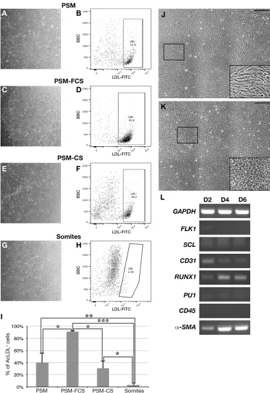 Fig. 5. EC differentiation depends on the tissue of origin and on medium composition. (A-I) Role of serum in EC differentiation