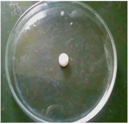Fig 12. Swelling studies of optimized formulation F2   