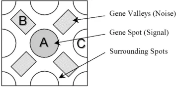 Fig. 1.GenePix sampling method.