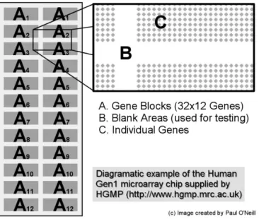Fig. 6.Overview of slide layout.