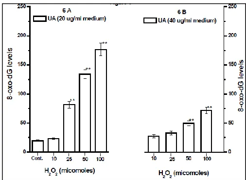 Fig.5A. AP sites in genomic DNA were significantly decreased in frequency after co-incubation with 40μg/ml of ursolic acid as shown 