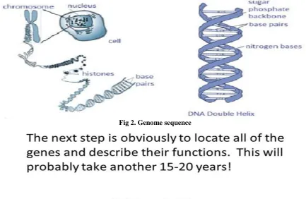 Fig 2. Genome sequence 