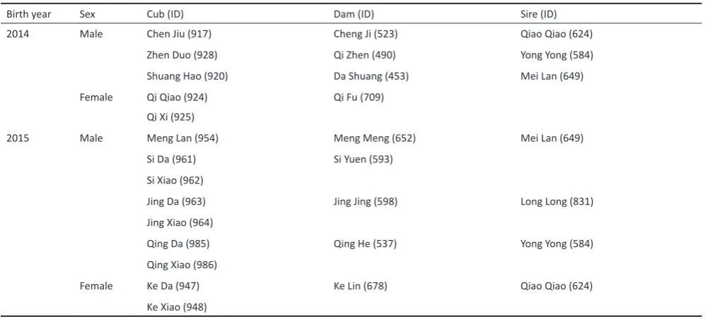 Table 2. Modified ethogram of behaviours used for observations. Social behaviours were identified by proximity, as any of the listed actions that occurred within 1m of another panda cub