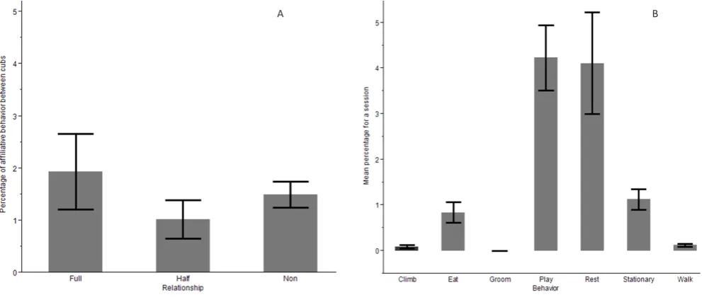 Figure 2. Percentage of time cubs spent interacting over the course of the study. There was no predictive relationship between duration of time panda cubs were observed housed together and time cubs engaged with one another (R2=0.001).