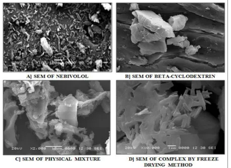 FIGURE 6 : SEM IMAGES OF A) PURE DRUG NEBIVOLOL B) BETA- CYCLODEXTRIN C) PHYSICAL MIXTURE AND D) INCLUSION COMPLEX BY FREEZE DRYING METHOD   