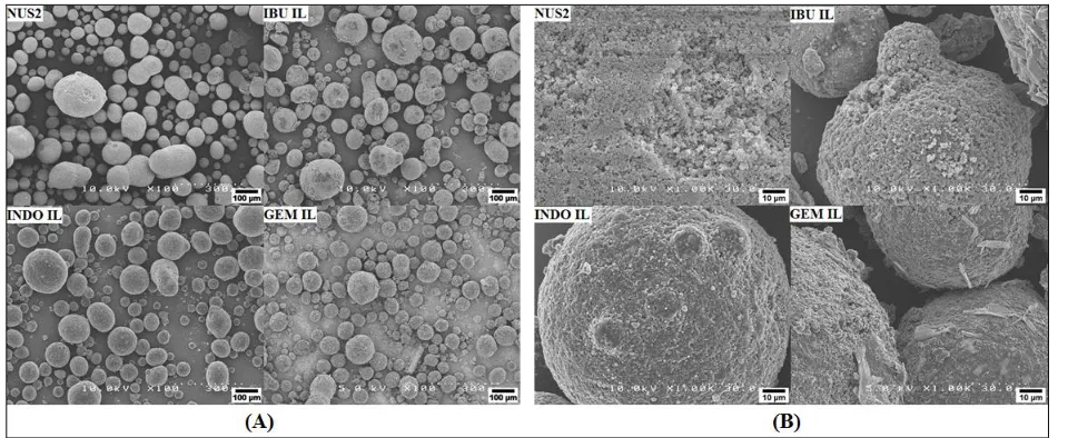 FIG.4: SCANNING ELECTRON MICROSCOPY PHOTOMICROGRAPHS OF NUS2, IBU IL, GEM IL AND INDO  IL AT (A) 100X AND (B) 1000X MAGNIFICATION