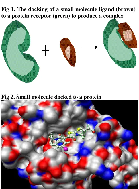 Fig 1. The docking of a small molecule ligand (brown) to a protein receptor (green) to produce a complex 