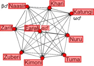 Figure 2. Social network based on proximity scores for the individuals first month after pack separation