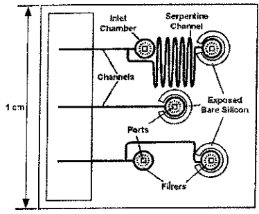 Fig. 1.Diagrammatic Representation of Electrospray ChipAdapted from ref. 25.