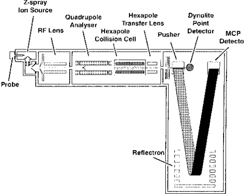 Fig. 2.Diagrammatic Representation of Q-TOF Mass Spectrometer with“Z-Spray” (Micromass)