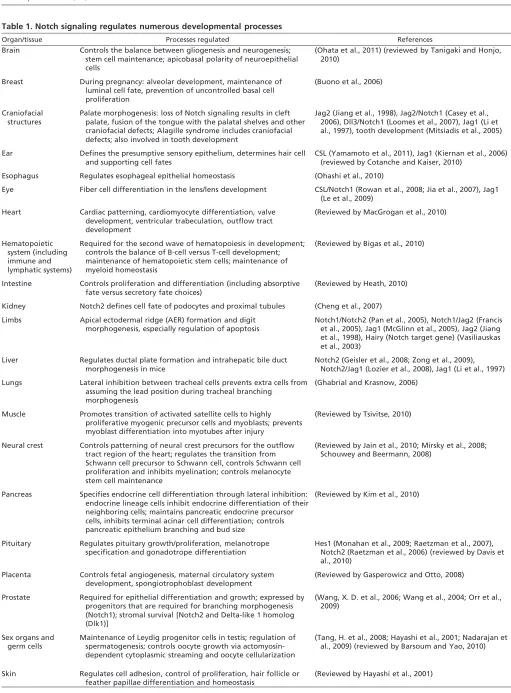 Table 1. Notch signaling regulates numerous developmental processes