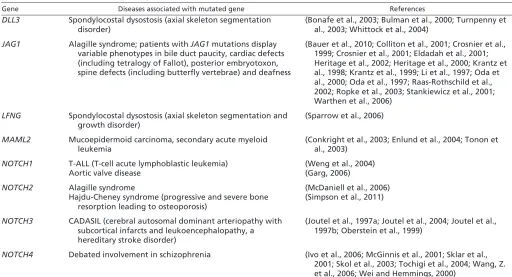 Table 2. Mutations in Notch signaling components result in developmental defects and diseases in humans
