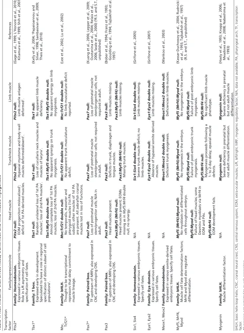 Table 1. Null mutants that affect head, trunk/neck and limb muscle myogenesis