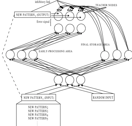 Figure 1.  The pseudo-recurrent network architecture