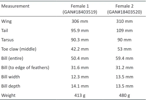 Table 1. Morphometric measurements from two of the three eastern grass owl chicks received at Perth Zoo in 1996.