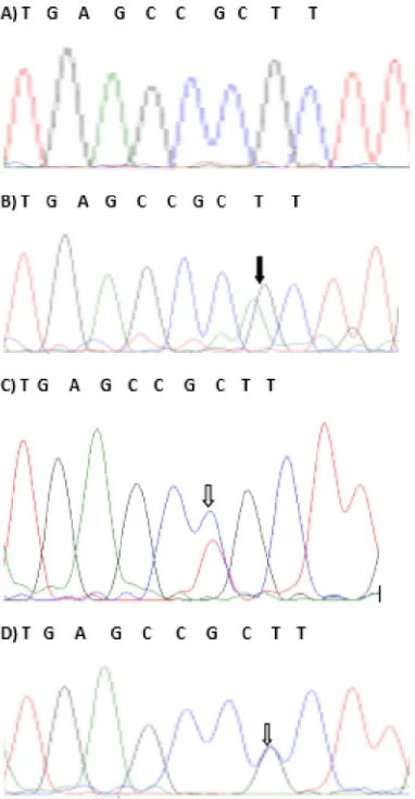 Figure 2. HRM curves analysis of three DNMT3A R882 mutations and wild-type 
