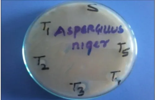 FIG. 18: ANTI-FUNGAL ACTIVITY OF SYNTHESIZED COMPOUNDS (ASPERGIUS NIGER)  