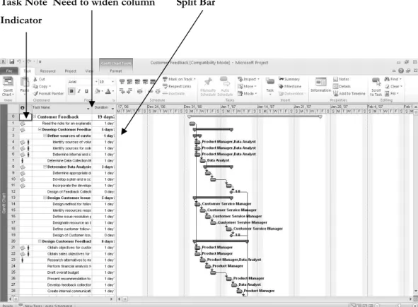 Figure A-6. Customer Feedback.mpp file 