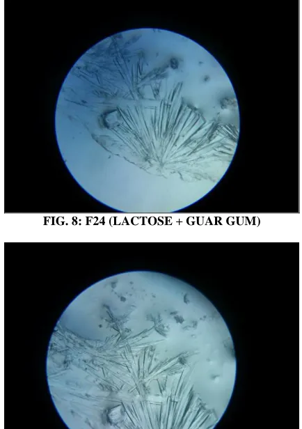 FIG.9: F25 (LACTOSE + CSA):  