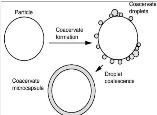 FIG.4: SOLVENT EVAPORATION TECHNIQUE 