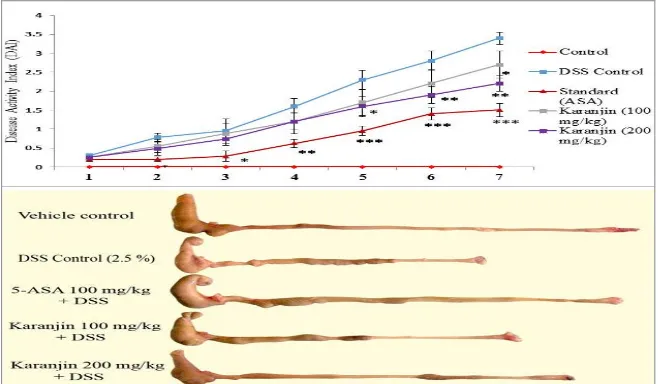 FIG. 1: GRAPH REPRESENTING DAILY ASSESSMENT OF DISEASE ACTIVITY INDEX. REPRESENTATIVE  PHOTOGRAPHS OF COLON FROM RESPECTIVE GROUPS IN DSS INDUCED COLITIS
