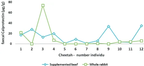 Figure 1. Individual faecal calprotectin concentrations in faeces from cheetahs fed whole rabbit or supplemented beef for a period of 1 month.