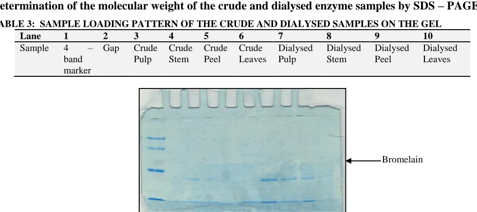 TABLE 4: ABSORBANCE AT 280 nm OF THE ELUATES FROM IEC COLUMN OD at 280 nm of Peel samples 