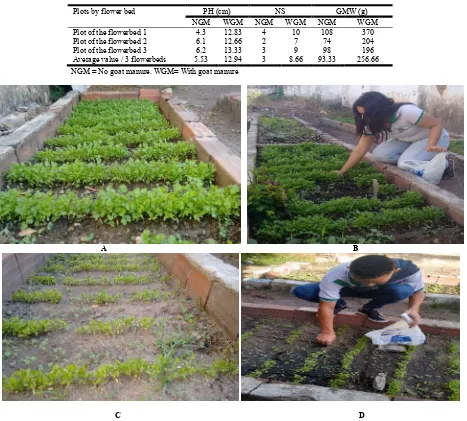 Table 1. Plant height (PH), number of sauces (NS) and green mass weight (GMW) of coriander (  Sobral, Ceará, Brazil  the absence and presence of organic fertilizer (goat manure) in the Dom José Tupinambá High School,   Coriandrum sativum L.) plants grown in  