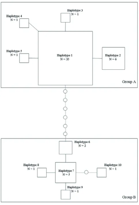 Table 2. Distribution of the 78 individuals in our sample1 according to genetic results.