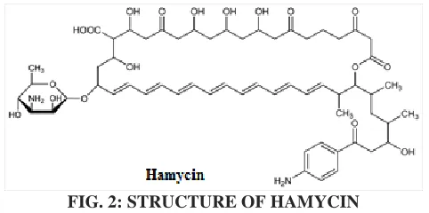 FIG. 2: STRUCTURE OF HAMYCIN 