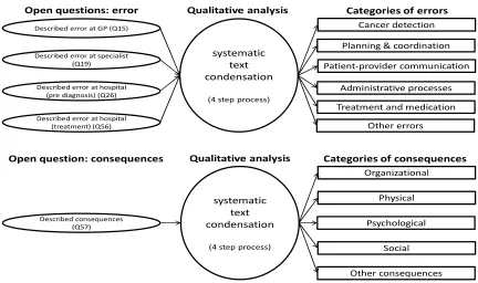 Figure 1. Categories of patient experienced errors and consequences 