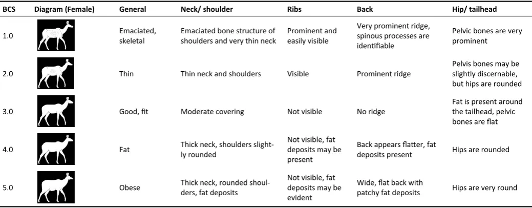 Table 2.  Body condition score (BCS) chart for captive greater kudu developed for this study, with the aid of Riney (1960), Clauss et al