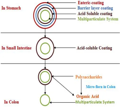 FIGURE 1: SCHEMATIC OF THE CONCEPTUAL  DESIGN 
