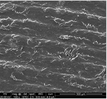 FIGURE 3: SEM PHOTOGRAPH OF OPTIMIZED PATCH 