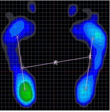Figure 2. Average force distribution and COP Sway 