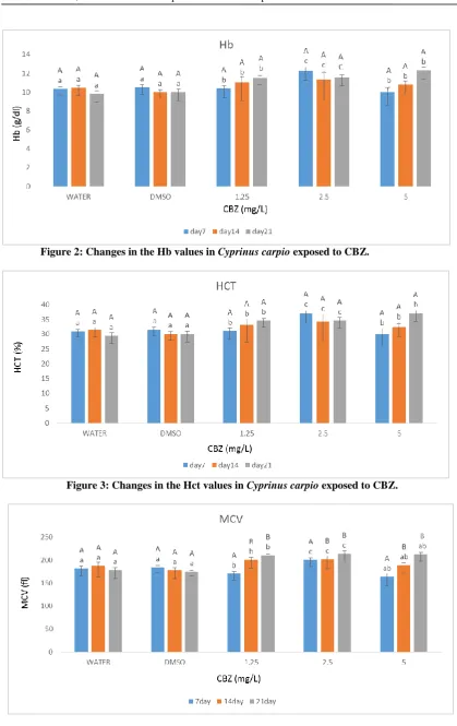 Figure 3: Changes in the Hct values in Cyprinus carpio exposed to CBZ. 