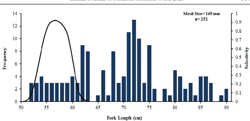 Figure 4: Estimated drift gillnet selectivity curve (line) and length-frequency distribution (bars) of longtail tuna for 165 mm mesh sizes in Oman Sea