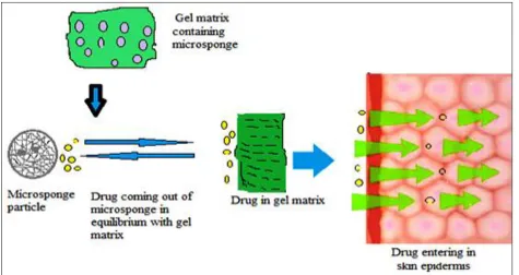 FIG. 1: RELEASE MECHANISM OF DRUG FROM MICROSPONGE 