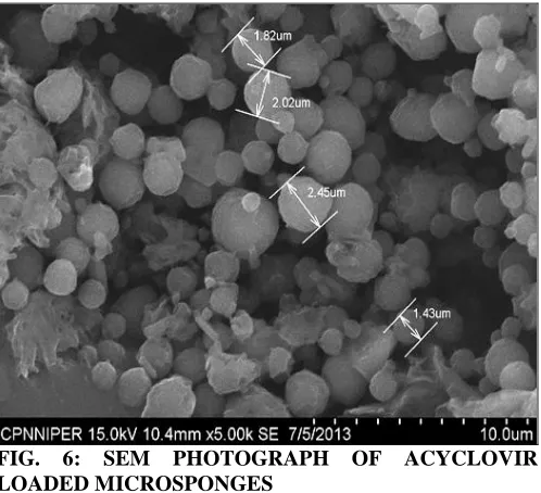 FIG. 5: SEM PHOTOGRAPH OF ACYCLOVIR  LOADED MICROSPONGE 