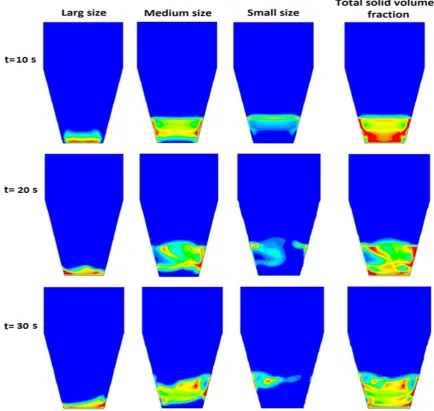 Figure 4. Contours of volume fractions of large, medium, and small particles and total solid volume fraction at U0=0.0864 m/s
