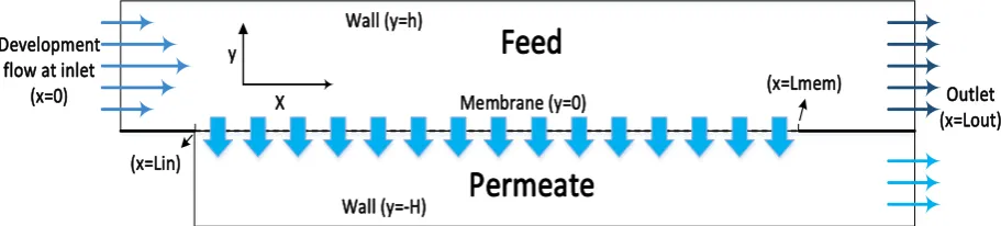 Figure 1. The geometry of the simulated membrane module [21].  