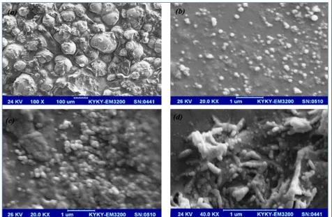 FIG. 3:  The SEM images of (a) unprocessed stearic acid particles and processed stearic acid particles prepared by the RESS process (b) at extraction pressure of 80bar, extraction temperature of 35◦C and pre-expansion temperature of 50◦C, (c) at extraction pressure of 100 bar, extraction temperature of 35◦C and pre-expansion temperature of 50◦C, (d) at extraction pressure of 100 bar, extraction temperature of 40◦C and pre-expansion temperature of 50◦C 