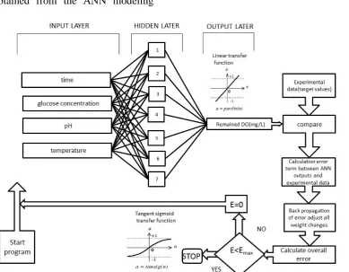 Figure 1. Optimal ANN structure with a flowchart of the BP algorithm for the prediction of the remaining DO