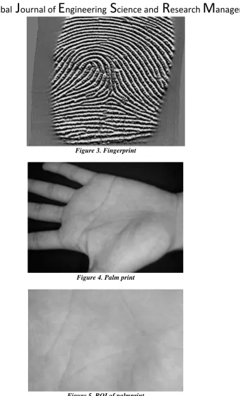 Figure 3. Fingerprint  