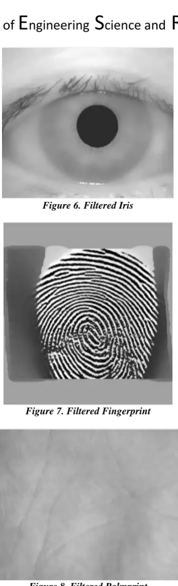 Figure 6. Filtered Iris  
