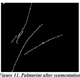Figure 10. Fingerprint after segmentation   