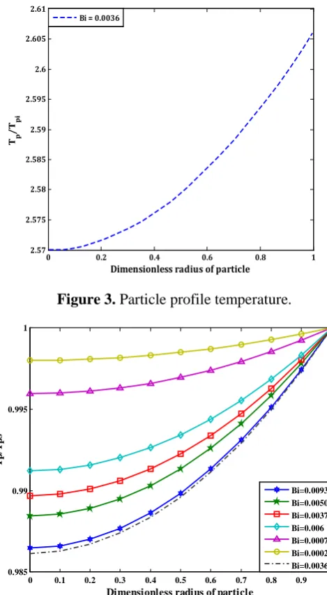 Figure 3. Particle profile temperature. 