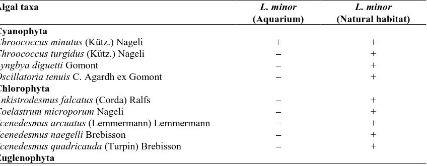 Table 1: Presence features of the algae recorded on Lemna minor L. in aquarium and in natural habitat