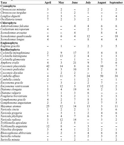 Table  3: Monthly (for 6 month) individual numbers in ml of the algae recorded on Lemna minorgrown in natural habitat