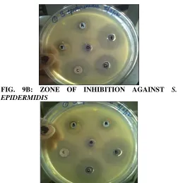 FIG. 9B: ZONE OF INHIBITION AGAINST  S. EPIDERMIDIS 